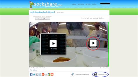 How to get around in Sockshare : r/smyths .